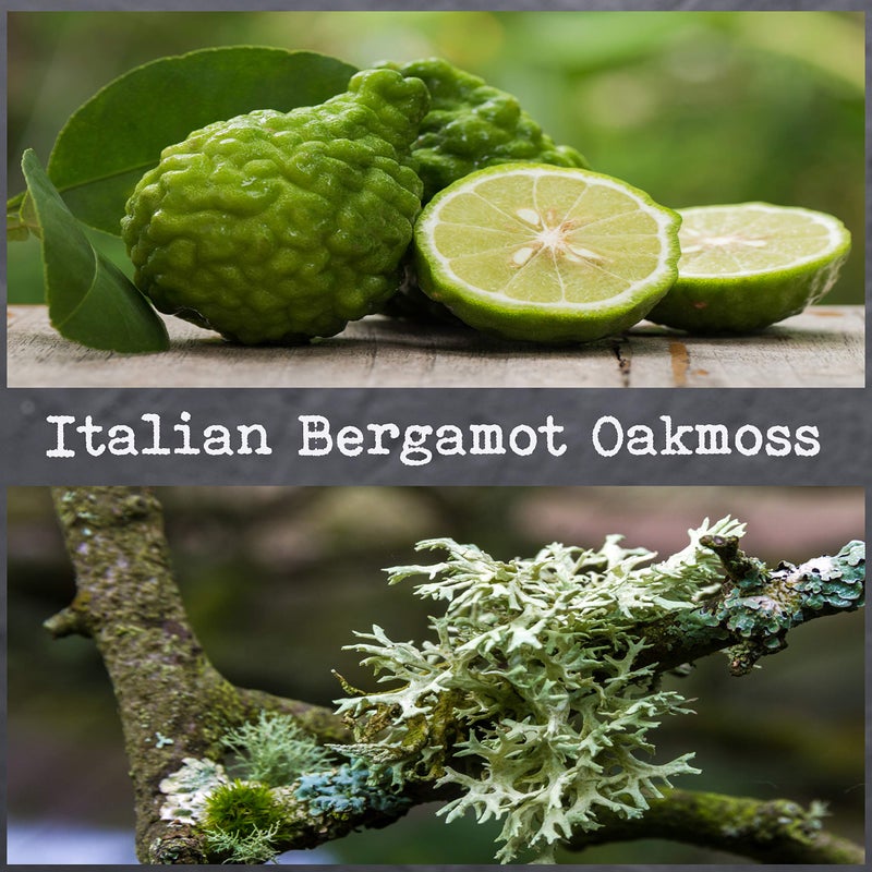 CoCo Benjamin 100% Soy, Highly Scented, Hand Poured Soy Candle (Italian Bergamot Oakmoss) - Image 3